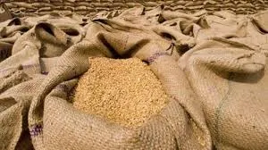 Only 3% Of Grain Exports Reach States In Need Of Assistance