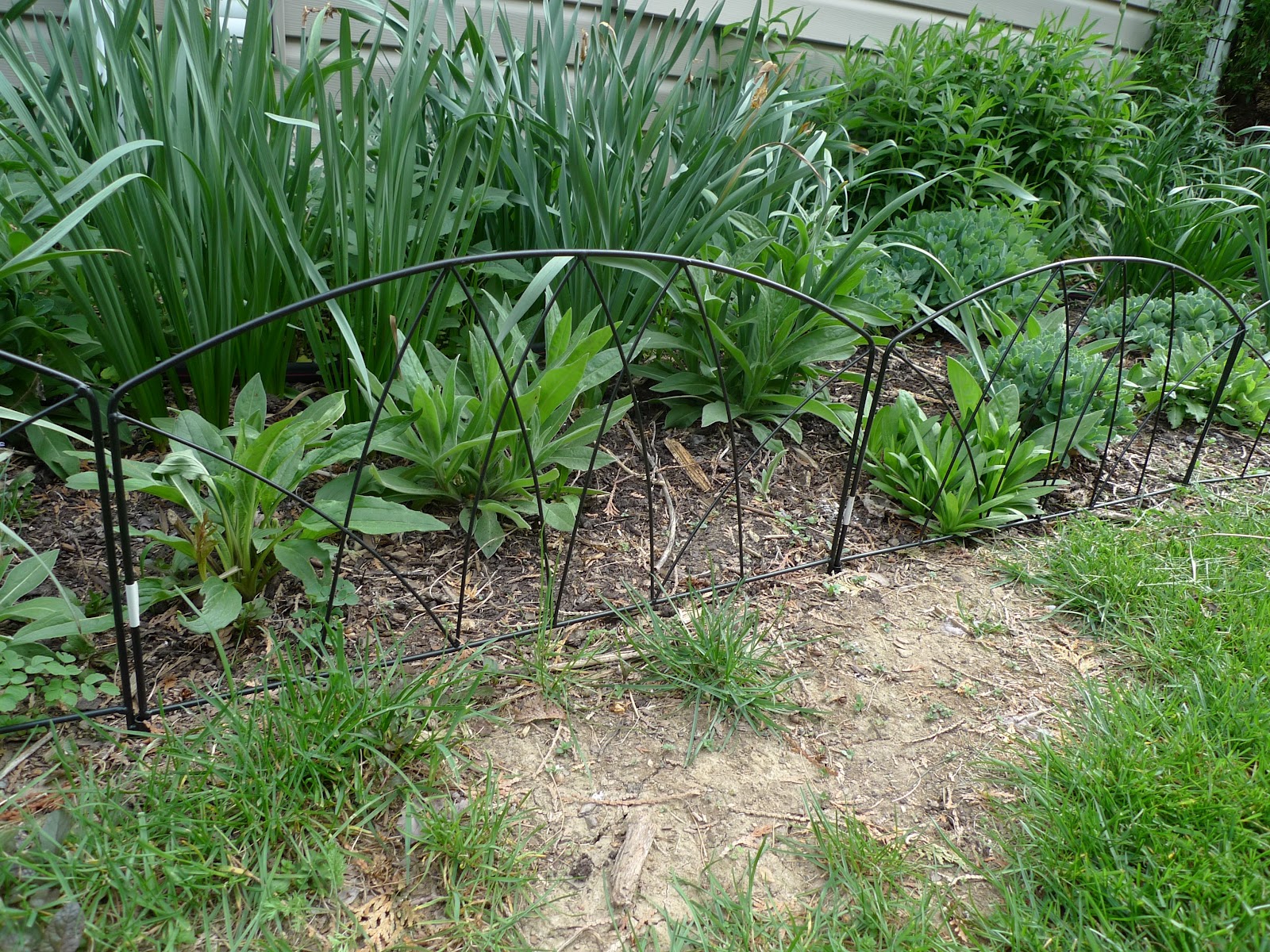 Iron Landscape Edging