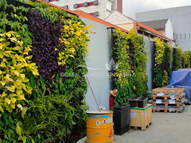 Jasa Pembuatan Vertical Garden Tuban - Tukang Taman Vertikal Profesional