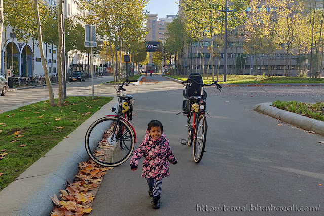 Things to do in Eindhoven - Cycling