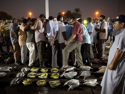 Fresh fish is auctioned off before dawn to vendors and restaurants in Abu Dhabi.