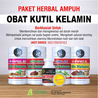 Obat Kutil Kelamin