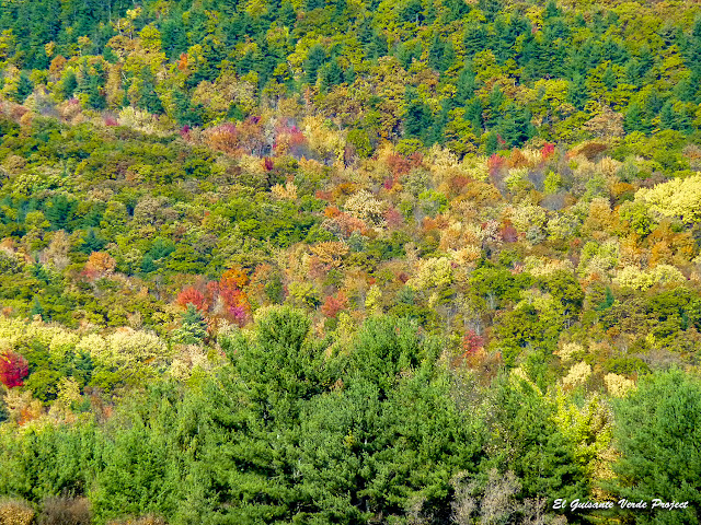 Vermont, los colores del otoño - Estados Unidos por El Guisante Verde Project