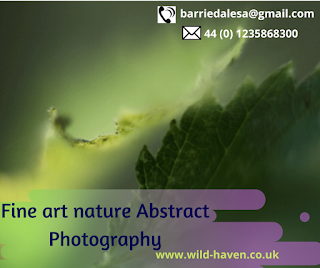 Fine Art Nature Abstract Photography