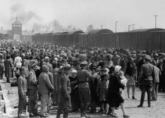 Holokost - Nazi Katliamı