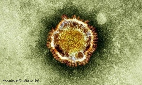 Virus mortal para el ser humano en Estados Unidos