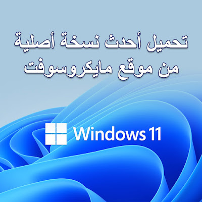 Windows 11