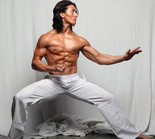 Tiger Shroff Diet Plan