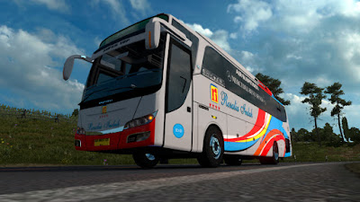 Livery Rosalia Indah Skyliner BSW Edit Diny