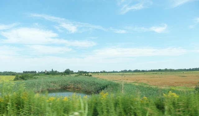 Serbia, okolice Somboru. Kilka kilometrów dalej, "nad pięknym, modrym Dunajem" jest posterunek graniczny z Chorwacją.