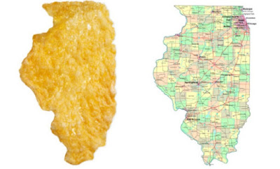 Flake of corn shaped State of Illinois, 2008