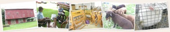 View Spinning Day at the Mannings - More Photos