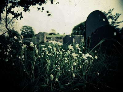 Graveyard Photography