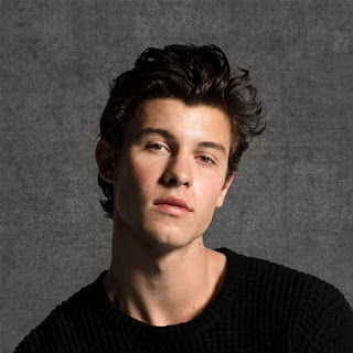 Le chanteur Shawn Mendes