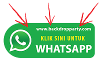 WhatsApp Button - www.backdropparty.com