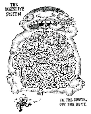 diagram of circulatory system of frog. circulatory system diagram