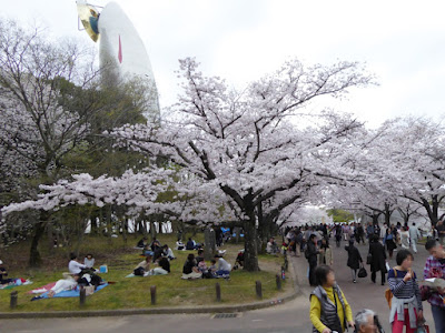 【大阪府吹田市】万博記念公園桜まつり