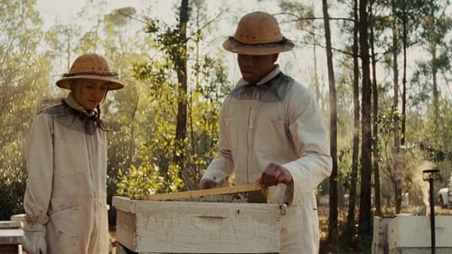La vita segreta delle api 2008 film completo