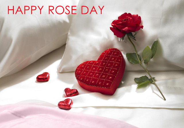 Rose Day Images