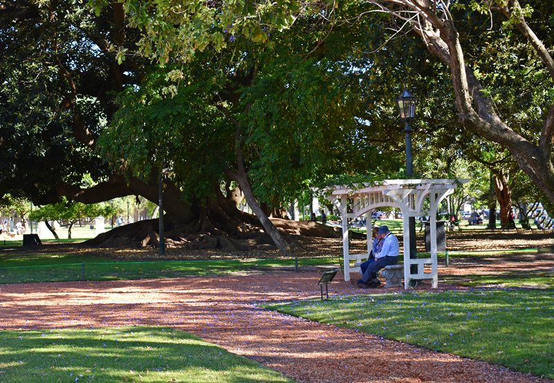 Bosques de Palermo