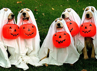 Perros Disfrazados para Halloween