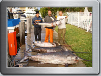 Miami Deep Sea Fishing Charters