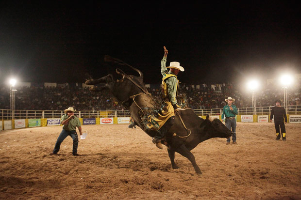 A cowboy rides a bull during a rodeo festival