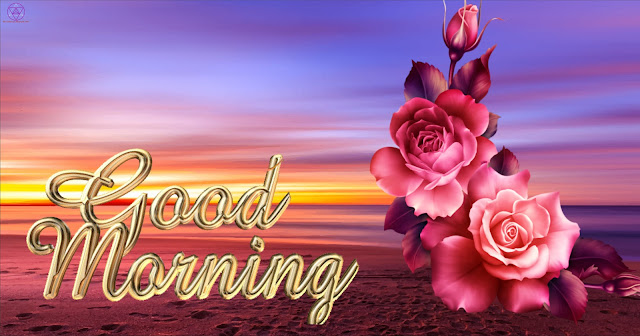 Good Morning HD image size 1024×1024 sunrise with rosR
