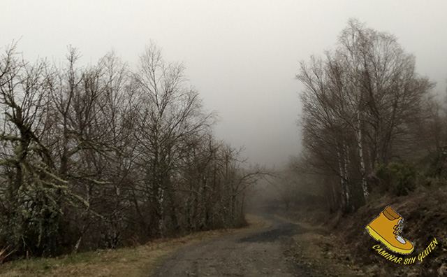 PISTA CAMINO DE LA ARTOSA CON NIEBLA