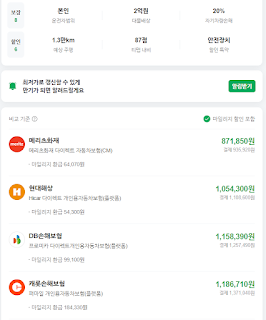 네이버 자동차 보험 비교 결과