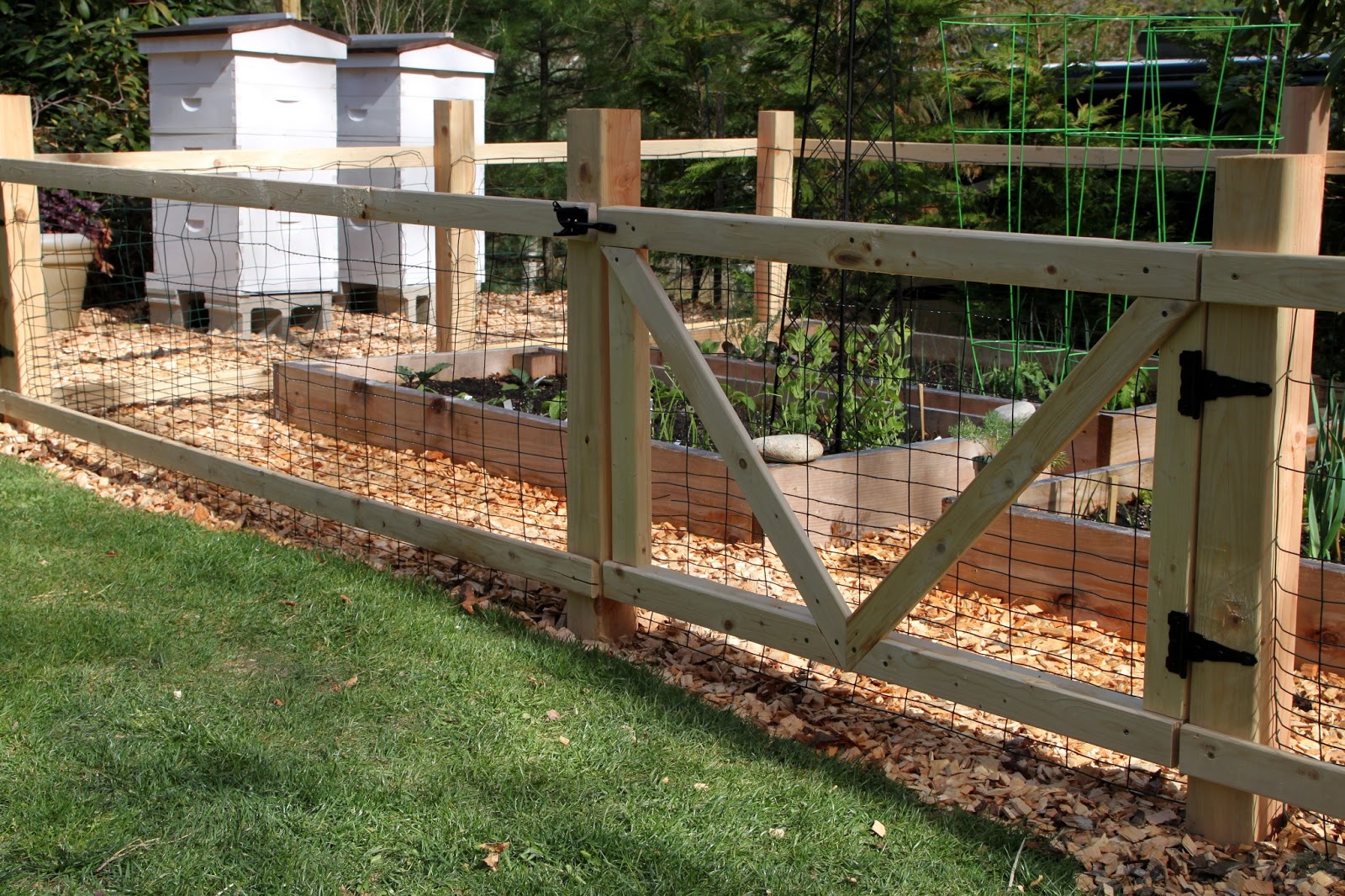 Tilly's Nest: A Simple Garden Fence