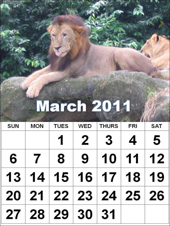 2011 calendar printable by month. 2011 calendar printable