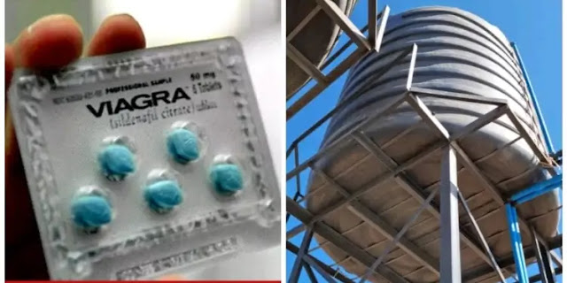 Zim police is in search of teen woman who puts Viagra in Church tanks