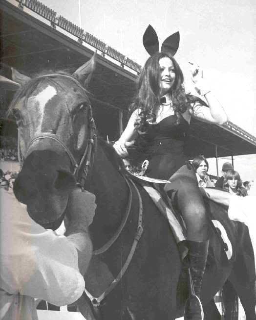 Bunny On Horseback