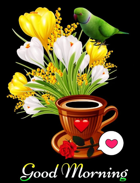 Beautiful Good Morning Images With Flowers