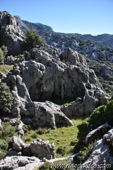 Benaocaz-El Hoyo-Jauletas-Puerto de Don Fernando