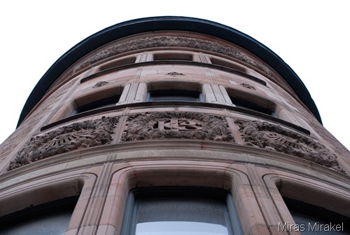 _DSC0185cp