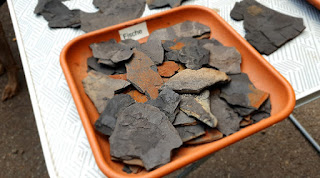 Foto von Fossilien, die in der Grube Messel gefunden wurden und die den Zuschauern gezeigt werden -  Foto von F. Roland A. Richter - www.frar.net