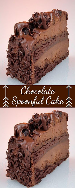 Chocolate Spoonful Cake