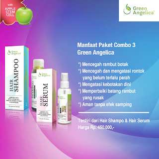 paket perawatan rambut rontok combo 3 green angelica