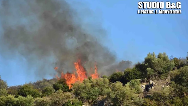 Αργολίδα: Πυρκαγιά στην περιοχή των Μυκηνών