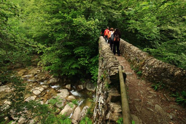 Pont de la Salgueda