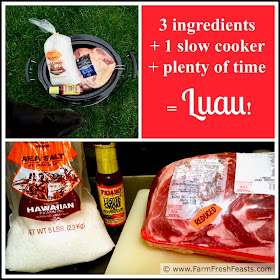 3 ingredients are needed to make kalua pig in a slow cooker: pork, salt, and liquid smoke