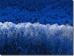Inverno