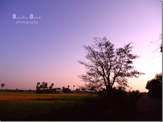 DSC04228