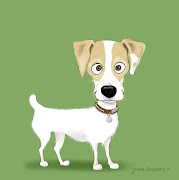 This is Aurora, a feisty Jack Russell Terrier owned by Kim Koch of Ketchum, . (kim koch dog aurora jpg)