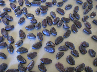 cacao beans