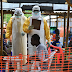 Ebola outbreaks in Guinea, DR Congo stoke new fears in Africa