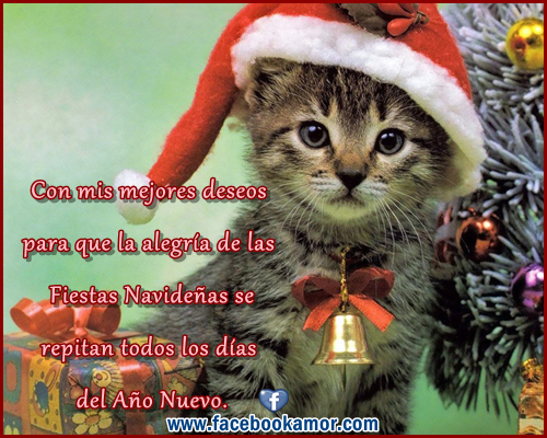 Tarjetas de navidad para enviar por facebook Imágenes  - imagenes de navidad para enviar por facebook