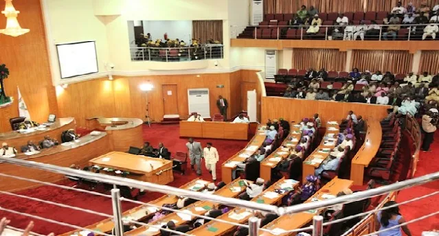 Niger Assembly Demands Improved Power Supply